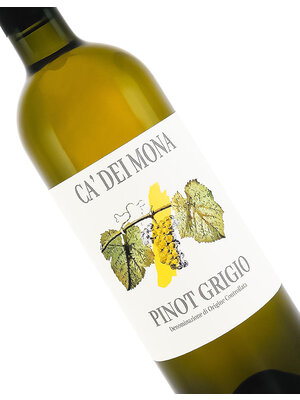 Ca' dei Mona 2023 Pinot Grigio, Venezia Italy