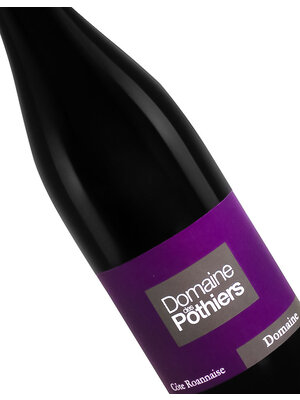 Domaine des Pothiers 2021 Cote Roannaise, France