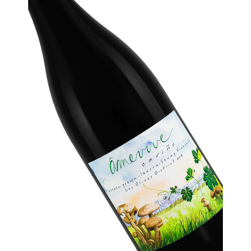 Amevive 2021 "Carino" Tempranillo/Graciano Estate Grown Ibarra-Young Vineyard, Los Olivos District Amevive 2021 "Carino" Tempranillo/Graciano Estate Grown Ibarra-Young Vineyard, Los Olivos District