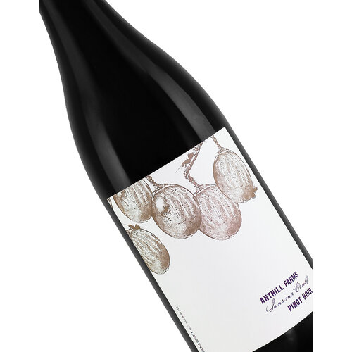 Anthill Farms 2022 Pinot Noir, Sonoma Coast Anthill Farms 2022 Pinot Noir, Sonoma Coast