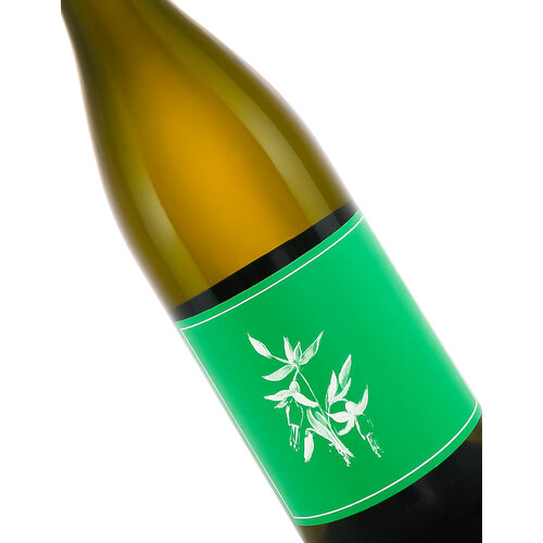 Arnot-Roberts 2023 Sauvignon Blanc, Randle Hill Vineyard, Yorkville Highlands, Mendocino County Arnot-Roberts 2023 Sauvignon Blanc, Randle Hill Vineyard, Yorkville Highlands, Mendocino County