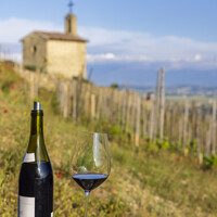 The Homeland of Syrah