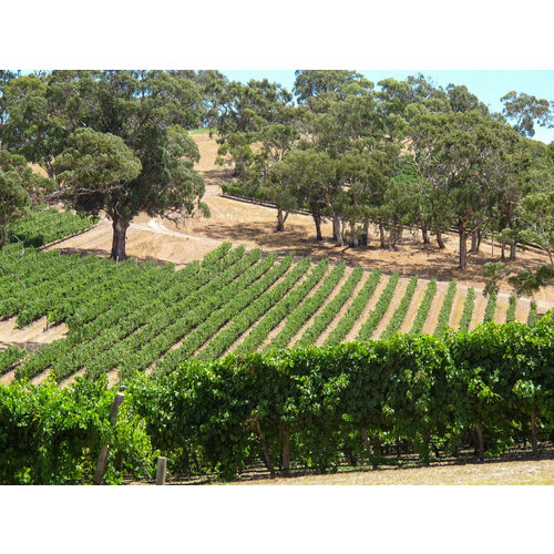 Tasting -- Australian Wine with Winebow Imports' Andii Ulrich on April 18th @7:30pm