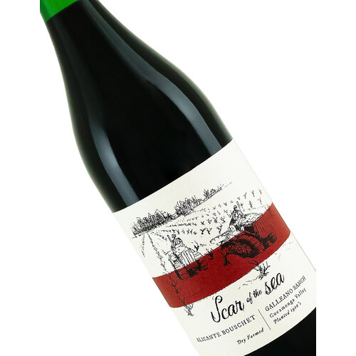 Scar Of The Sea 2022 Alicante Bouschet, Galleano Ranch, Cucamonga Valley Scar Of The Sea 2022 Alicante Bouschet, Galleano Ranch, Cucamonga Valley