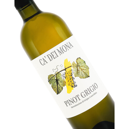 Ca' dei Mona 2023 Pinot Grigio, Venezia Italy Ca' dei Mona 2023 Pinot Grigio, Venezia Italy