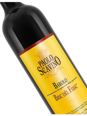 Paolo Scavino 2020 Barolo Bric Del Fiasc, Piedmont