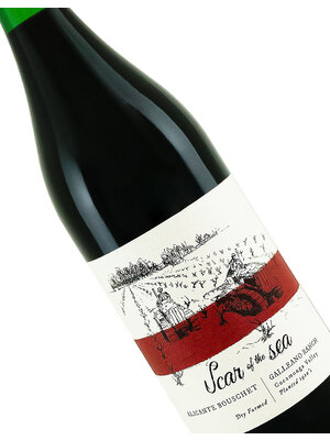 Scar Of The Sea 2022 Alicante Bouschet, Galleano Ranch, Cucamonga Valley