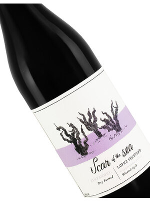 Scar of the Sea 2023 Zinfandel, Lopez Vineyard, Cucamonga Valley
