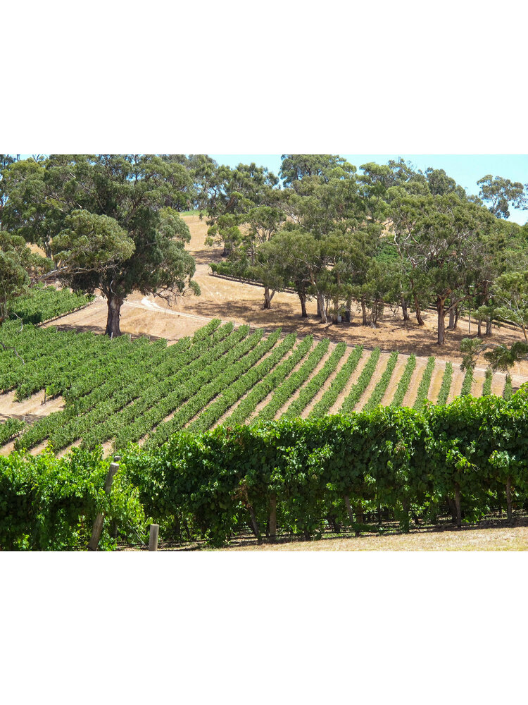 Tasting -- Australian Wine with Winebow Imports' Andii Ulrich on April 18th @7:30pm