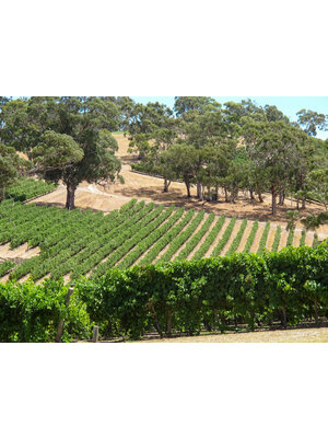 Tasting -- Australian Wine with Winebow Imports' Andii Ulrich on April 18th @7:30pm